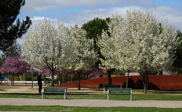 Los chubascos no faltarán a su cita con una Semana Santa que se prevé cálida en Valladolid