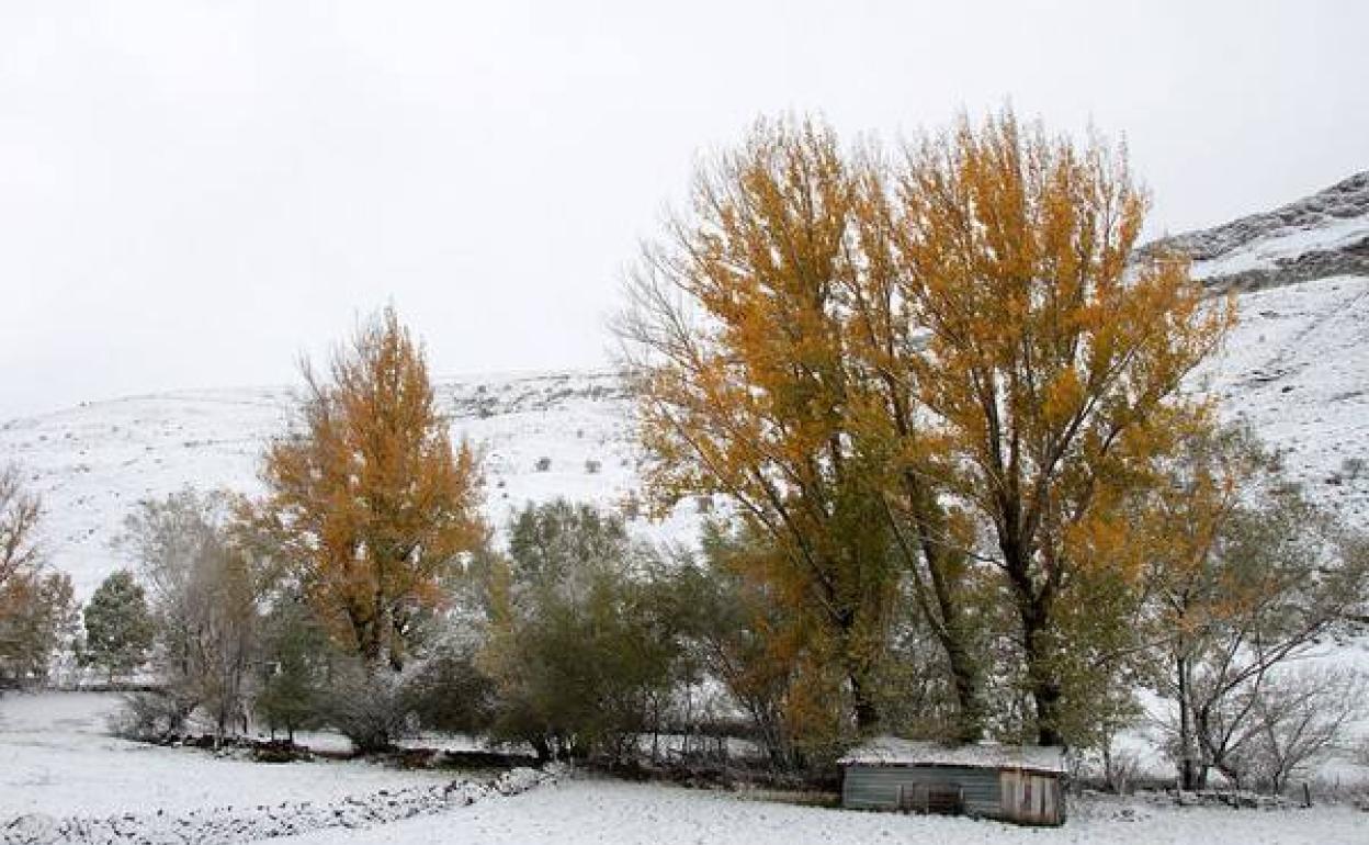 Nieve en un paraje de Castilla y León, en una imagen de archivo. 