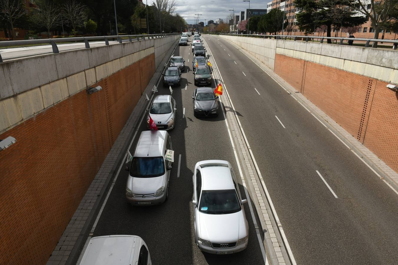 Fotos: Protesta de ganaderos en Valladolid en contra de la sobreprotección del lobo