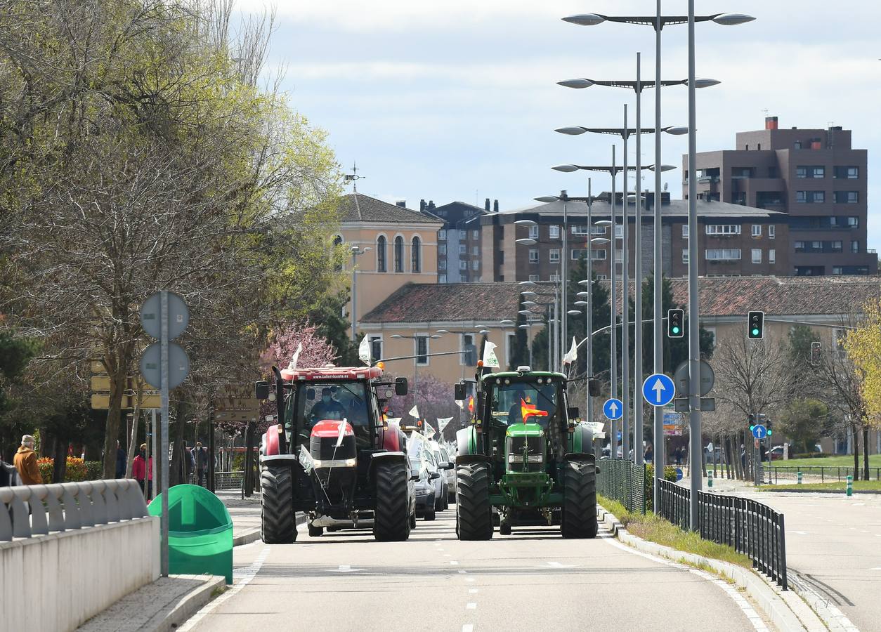 Fotos: Protesta de ganaderos en Valladolid en contra de la sobreprotección del lobo