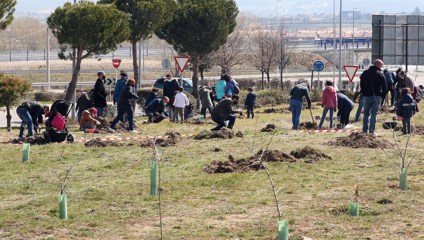 Plantación de árboles en Nueva Segovia 