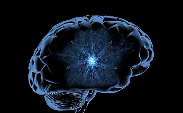 Los sistemas complejos