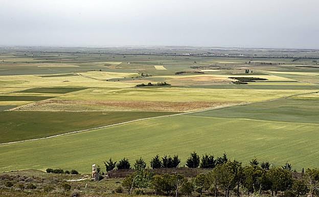 Mirador de Campos en Autilla del Pino. 