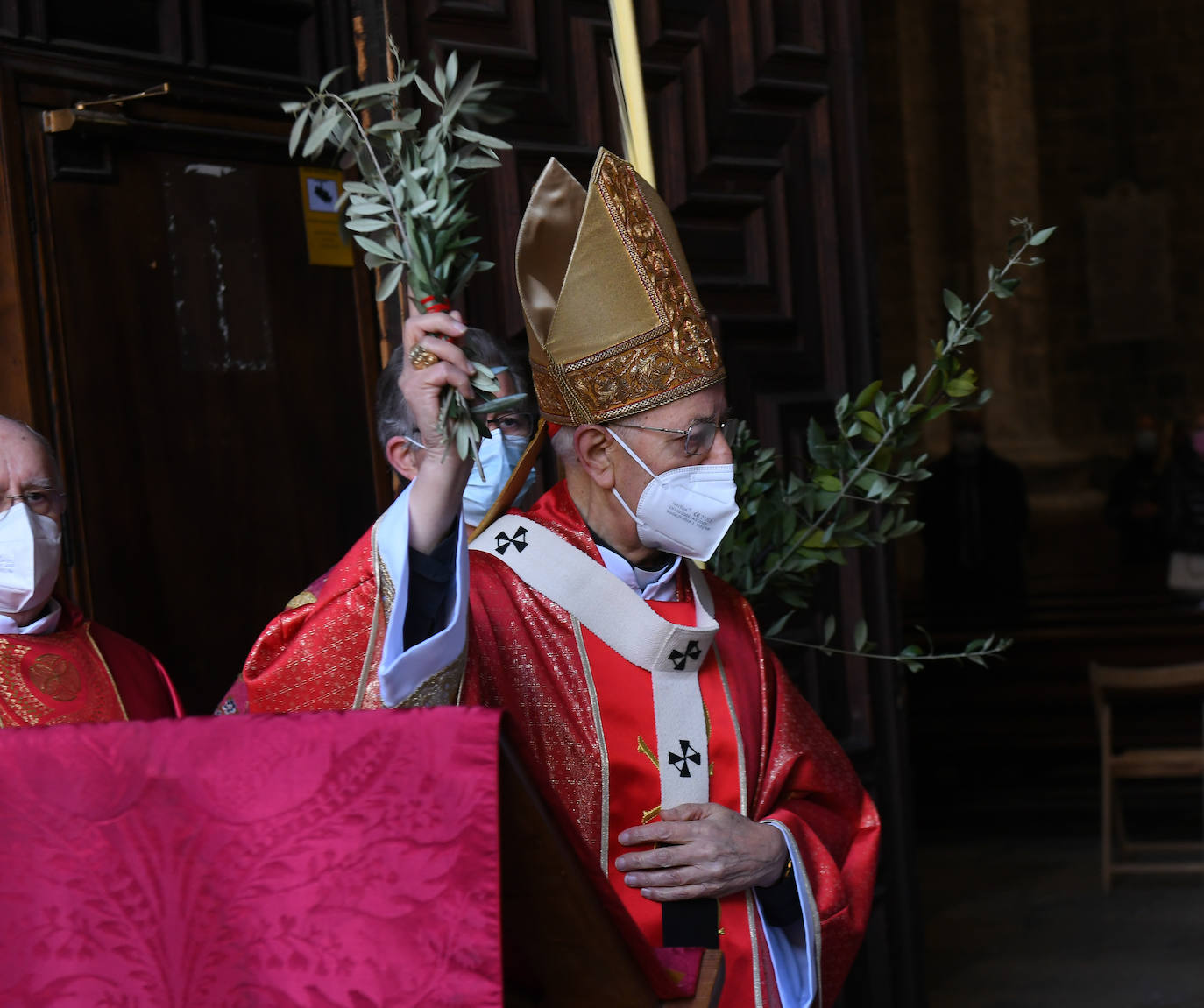 Fotos: Domingo de Ramos en Valladolid