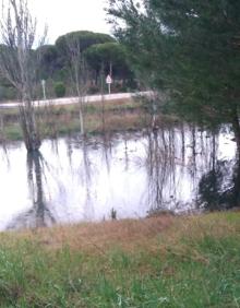 Imagen secundaria 2 - Distintos puntos del vertido que ha desbordado el arroyo Sangujero.