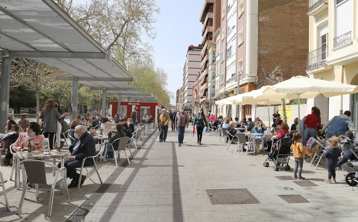 Fotos: Las terrazas, un imprescindible para bares y restaurantes en Palencia