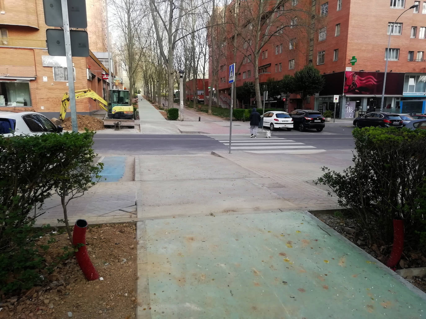 Fotos: Remate de las obras de unión del carril bici de Parquesol con la Avenida de Salamanca