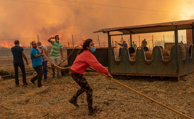 Una mujer ayuda en la extinción de un incendio en una nave ganadera en Vegalatrave, el 15 de agosto de 2020. 