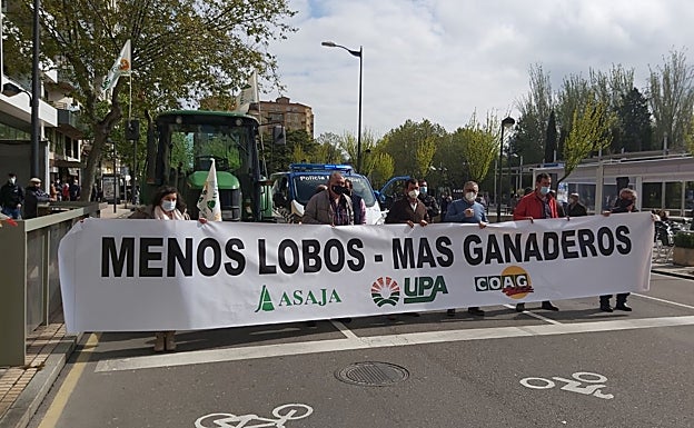 Los ganaderos salen a la calle en Zamora para protestar por la prohibición de la caza del lobo