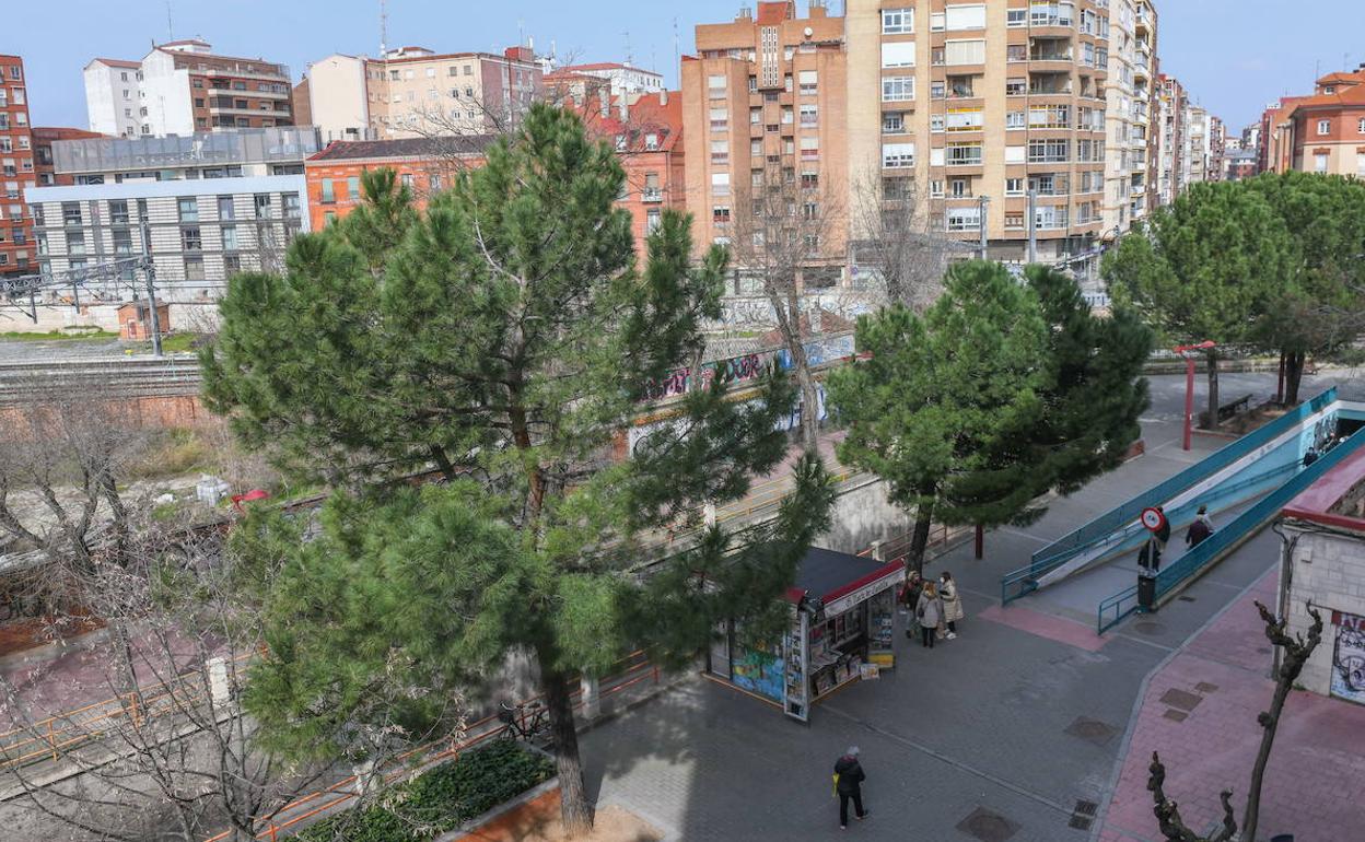 Rampa del túnel para coches de Labradores y paso peatonal.