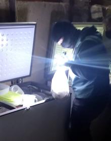 Imagen secundaria 2 - Cinco detenidos en Zamora y uno en Valladolid por trafico de anfetaminas