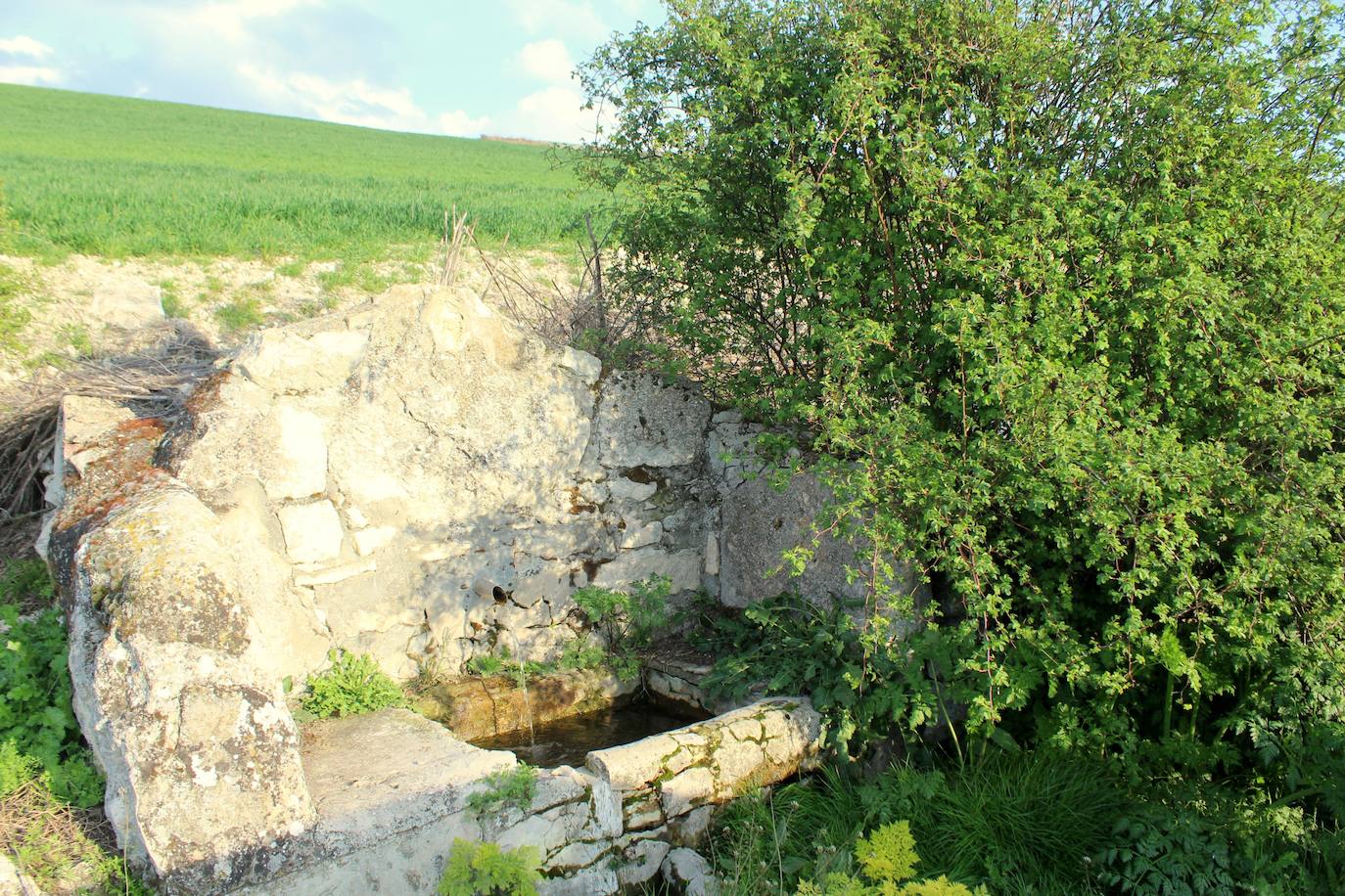 Fuente en la comarca de El Cerrato. 