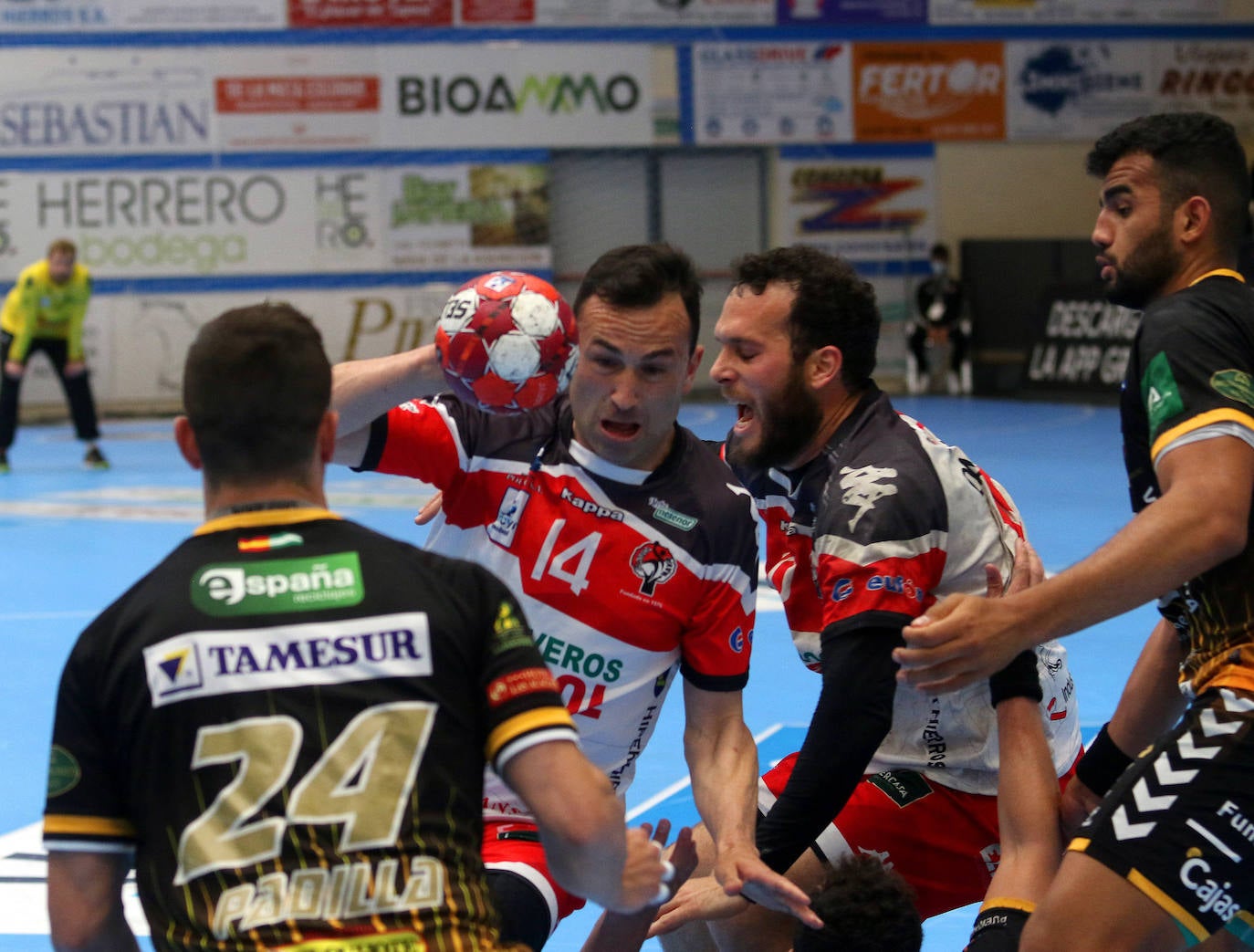 Partido de la Liga Asobal entre el Balonmano Nava y Puente Genil 