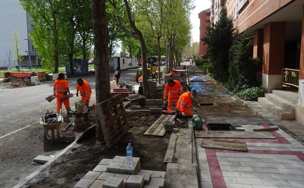 Parterre para evitar los daños de las raíces en el paseo del Obregón.