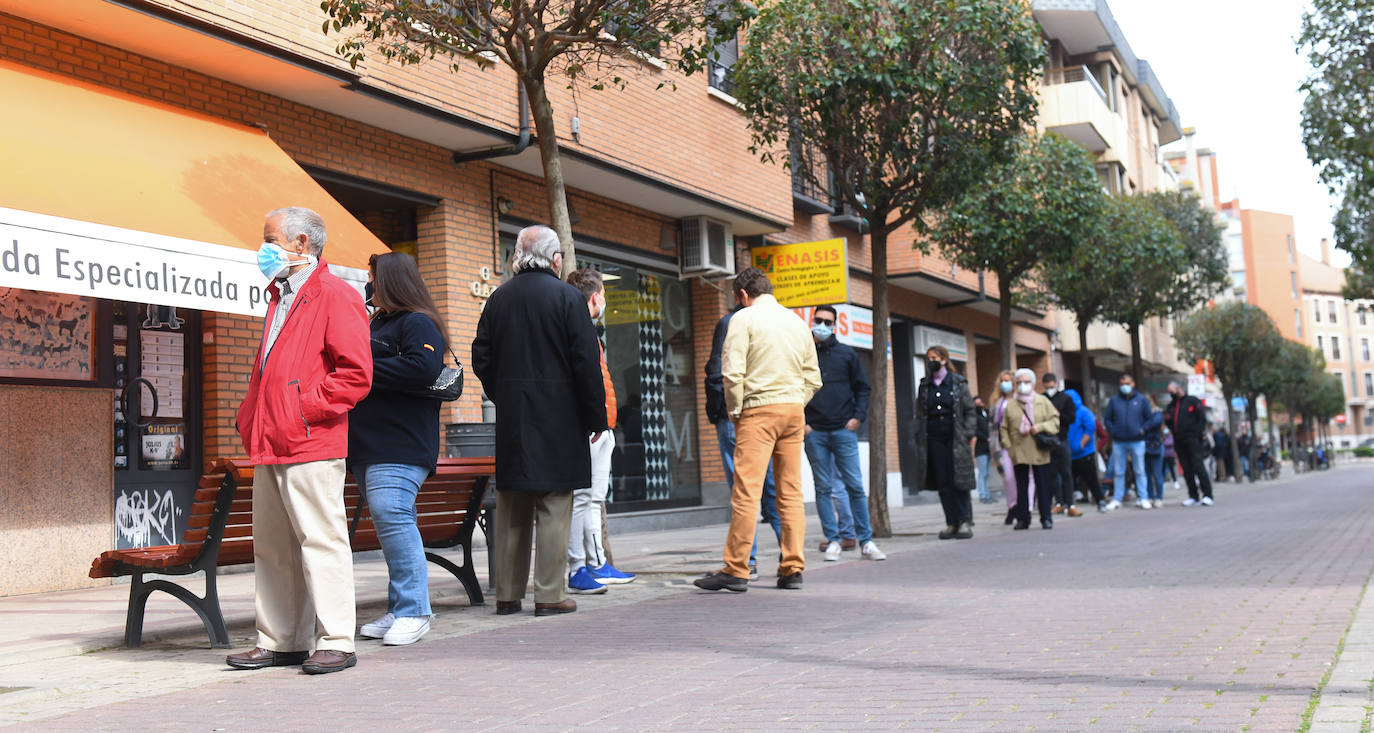 Colas para retirar una entrada para la feria taurina de San Pedro Regaldo en Valladolid.