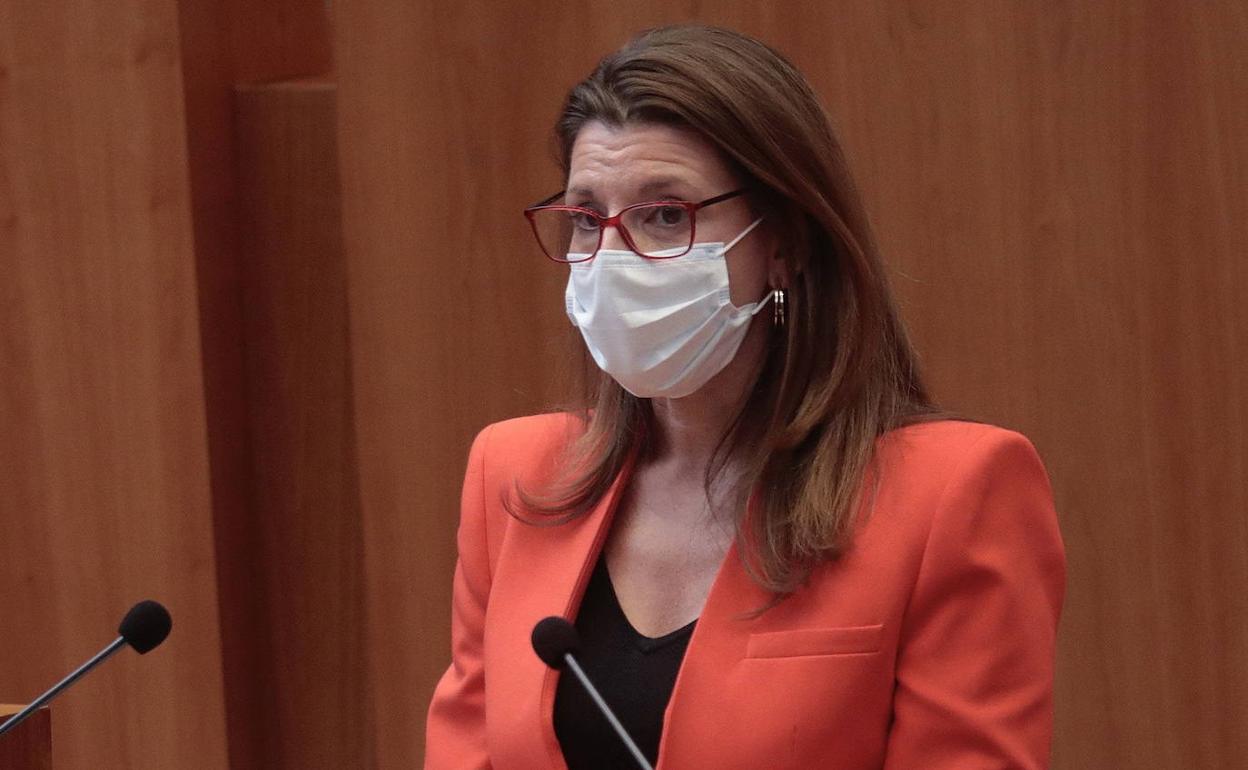 La procurado de Vox en las Cortes,. Fátima Pinacho. 