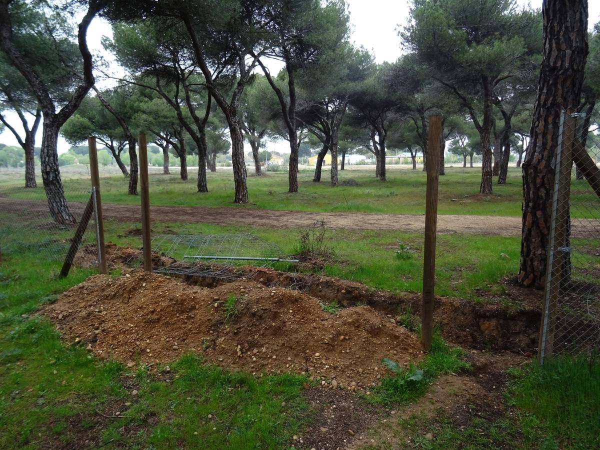 Fotos: Destrozos en las instalaciones de Pingüinos en la antigua Hípica Militar de Valladolid