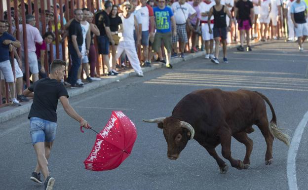 Encierro celebrado durante las fiestas de 2019, previas a la pandemia, en Tudela de Duero. 