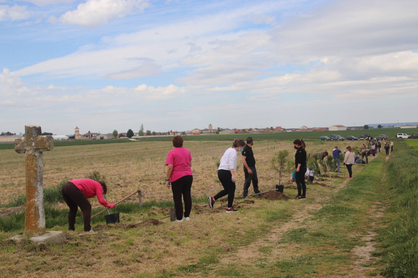 Plantación de árboles este sábado junto a la ermita de San Mamés.