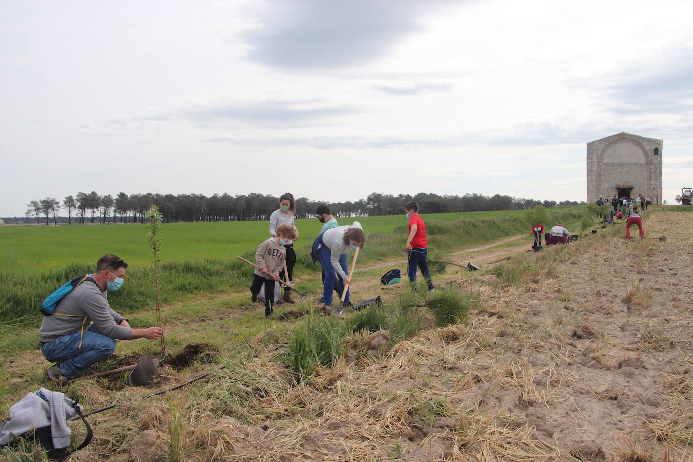 Plantación de árboles este sábado junto a la ermita de San Mamés.