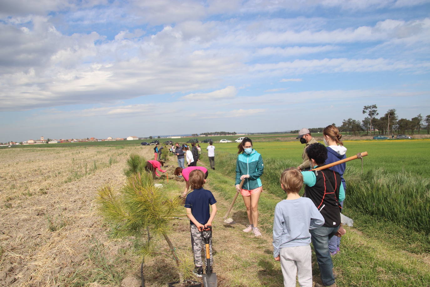 Plantación de árboles este sábado junto a la ermita de San Mamés.