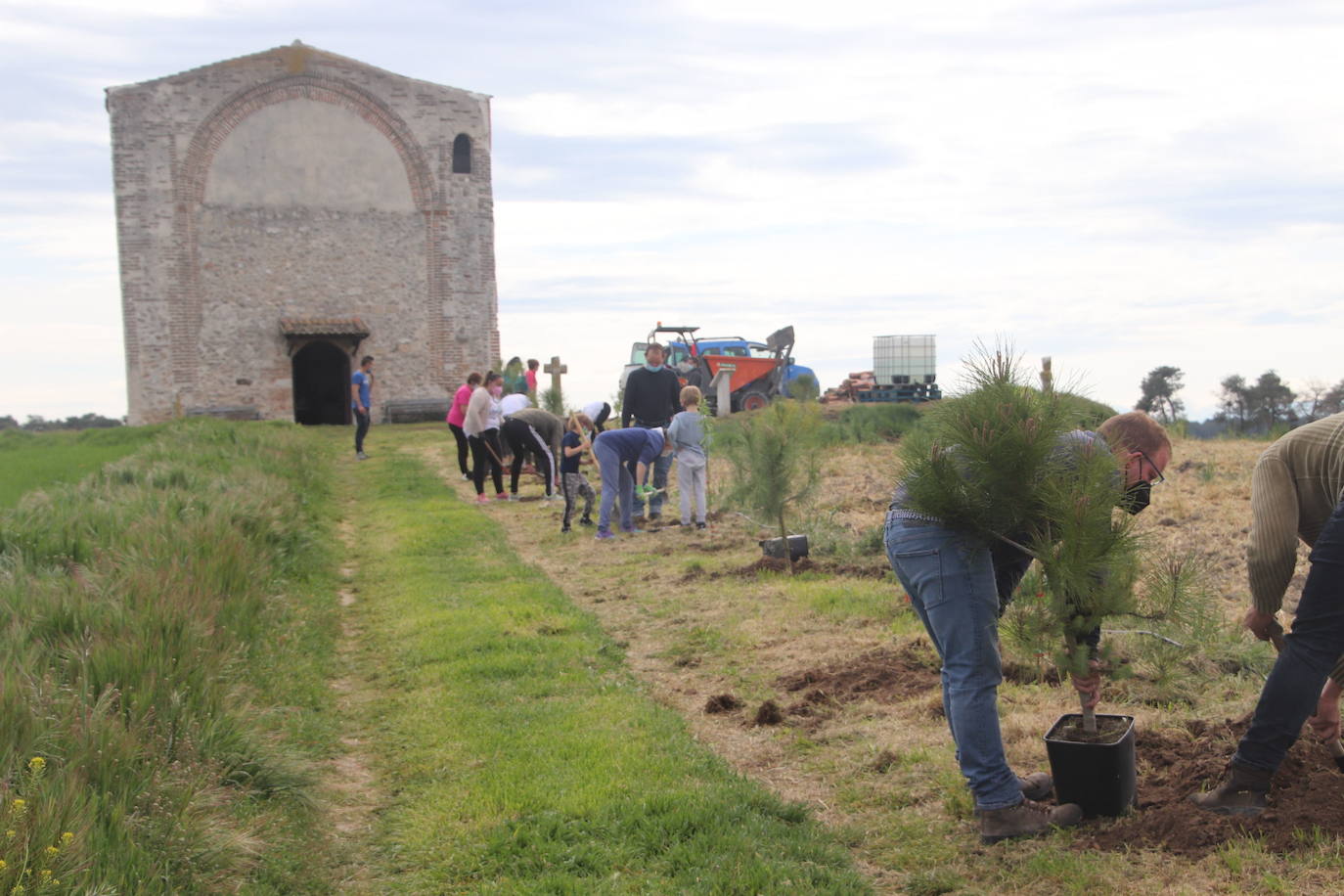 Plantación de árboles junto a la ermita de San Mamés.