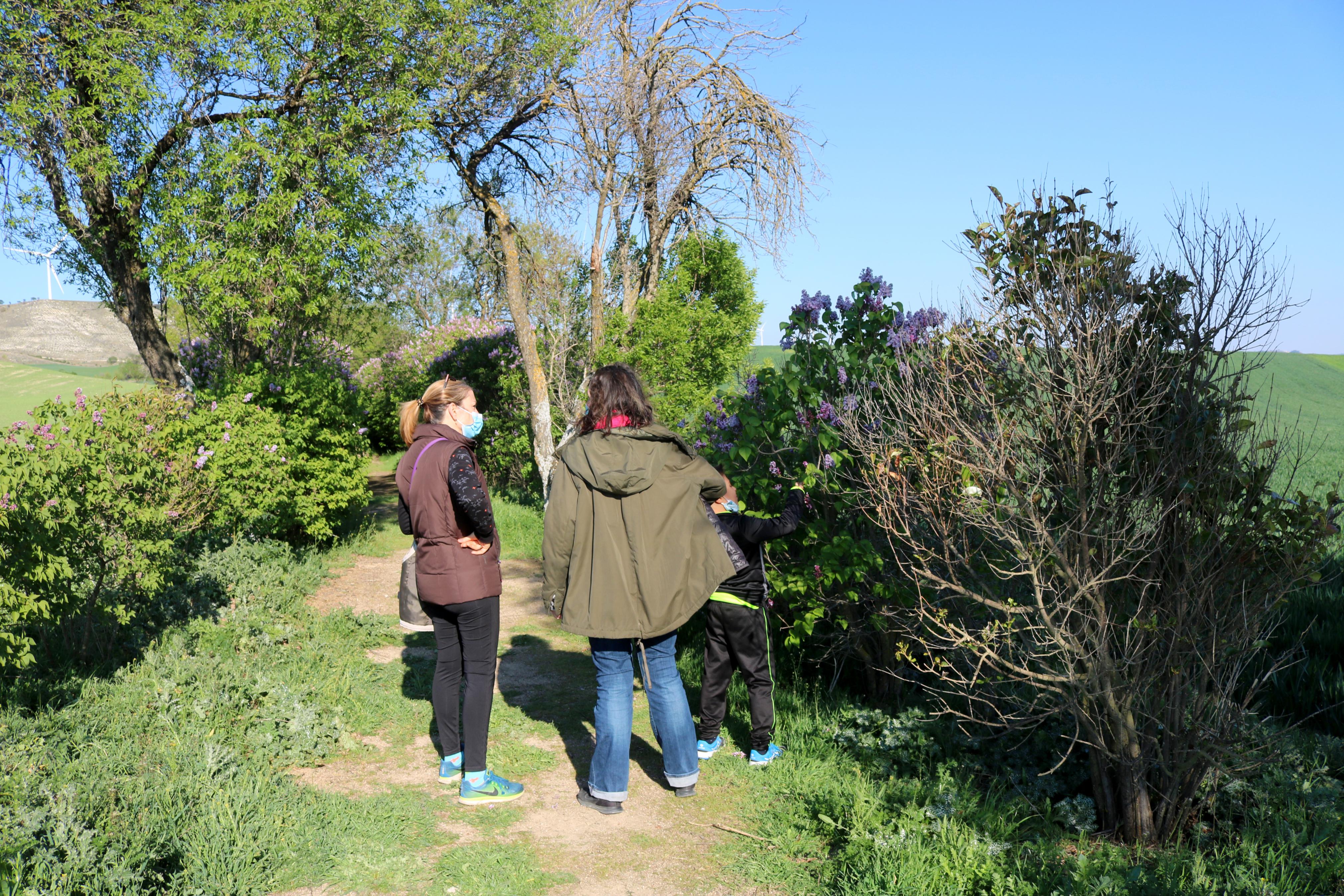 El Paseo de las Lilas es un atractivo para niños y mayores