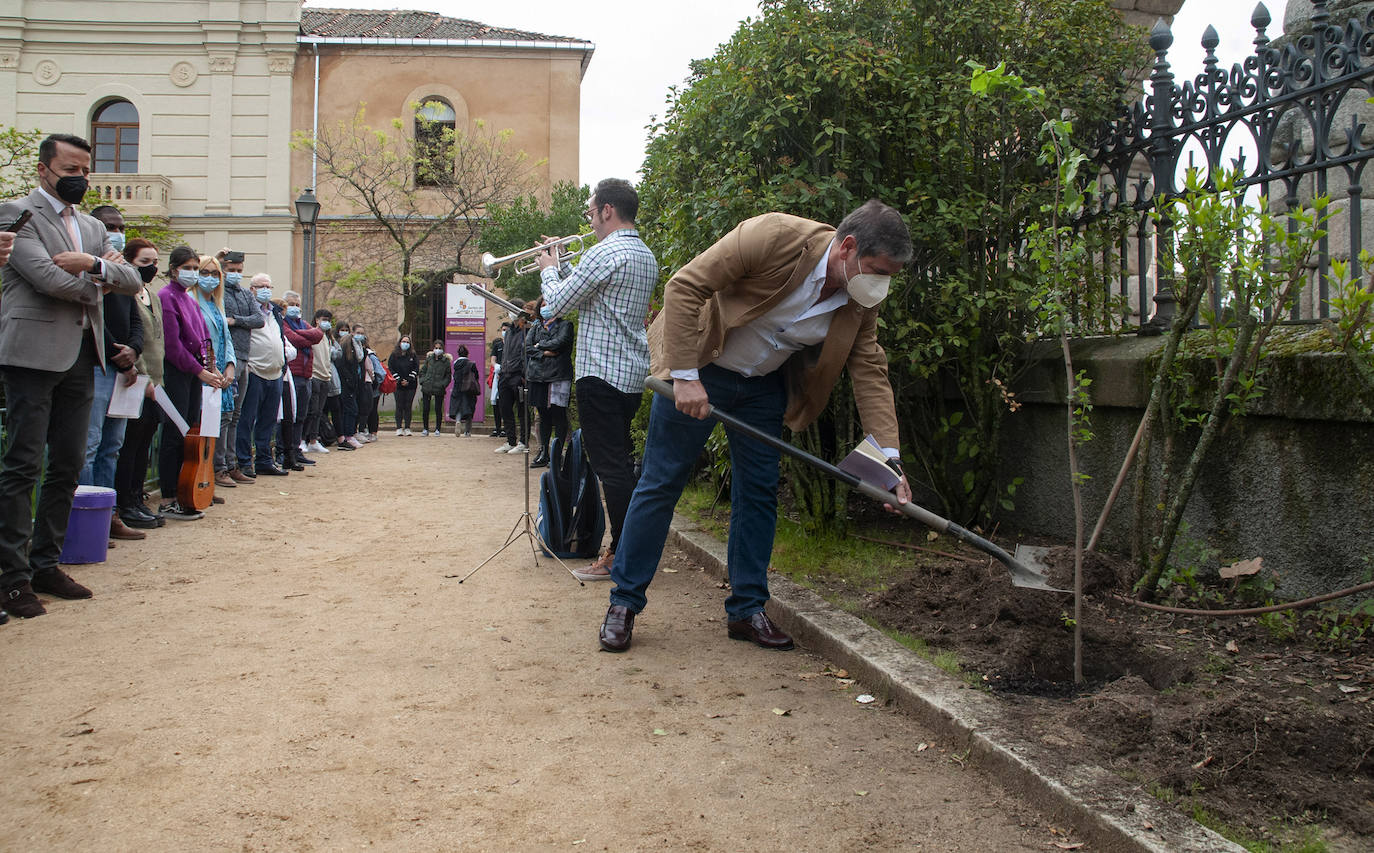 El director del IES Mariano Quintanilla remata la plantación del olmo.