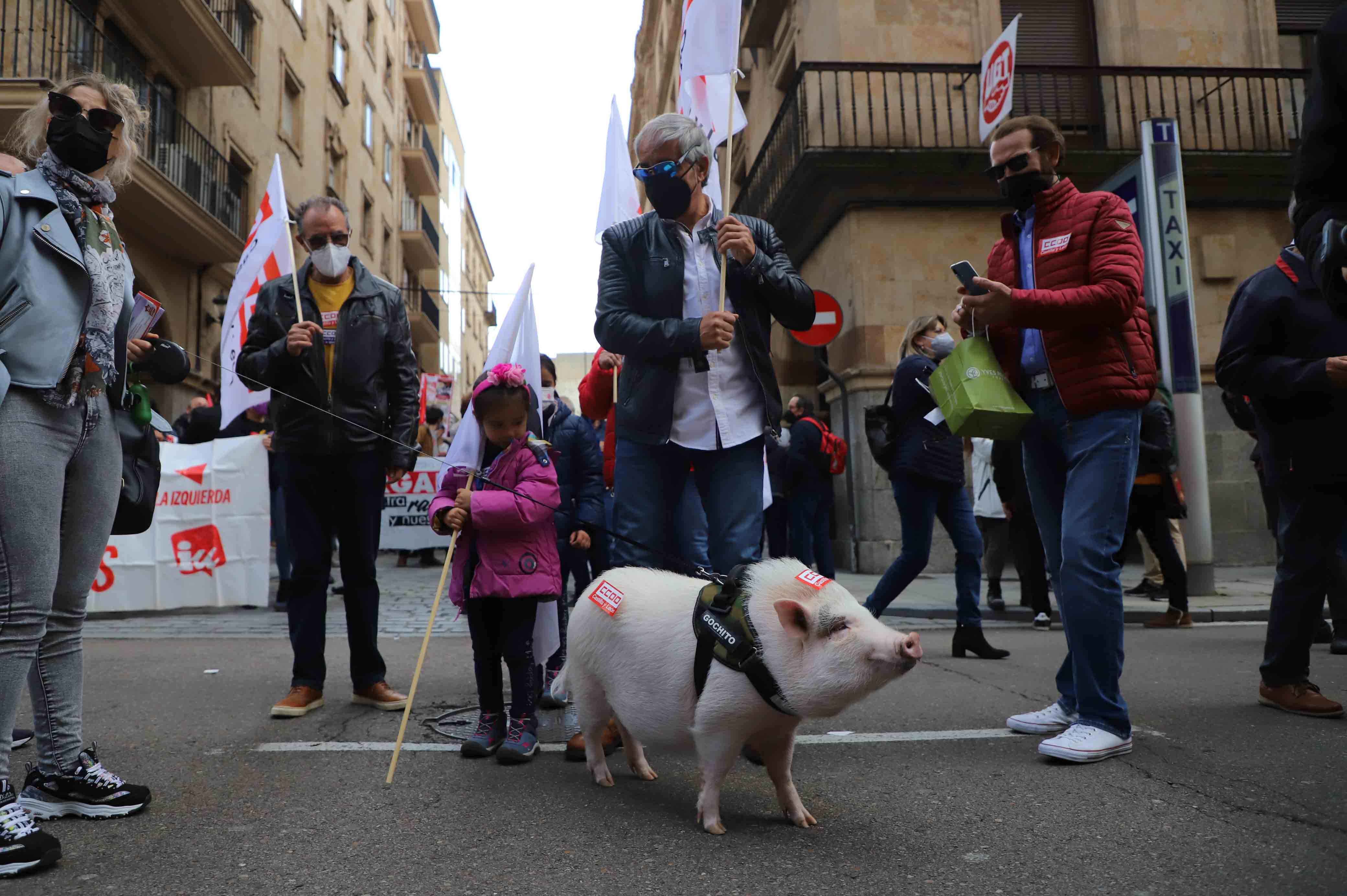 Manifestación por el Día del Trabajador