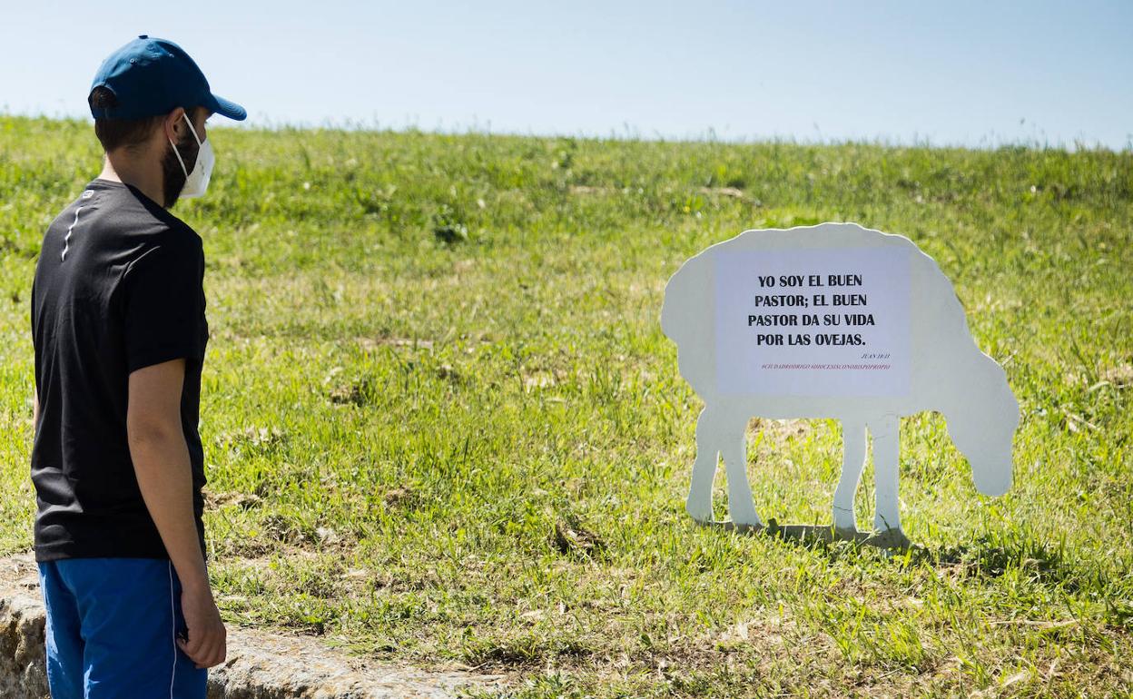 Una persona observa una de las ovejas del 'rebaño'