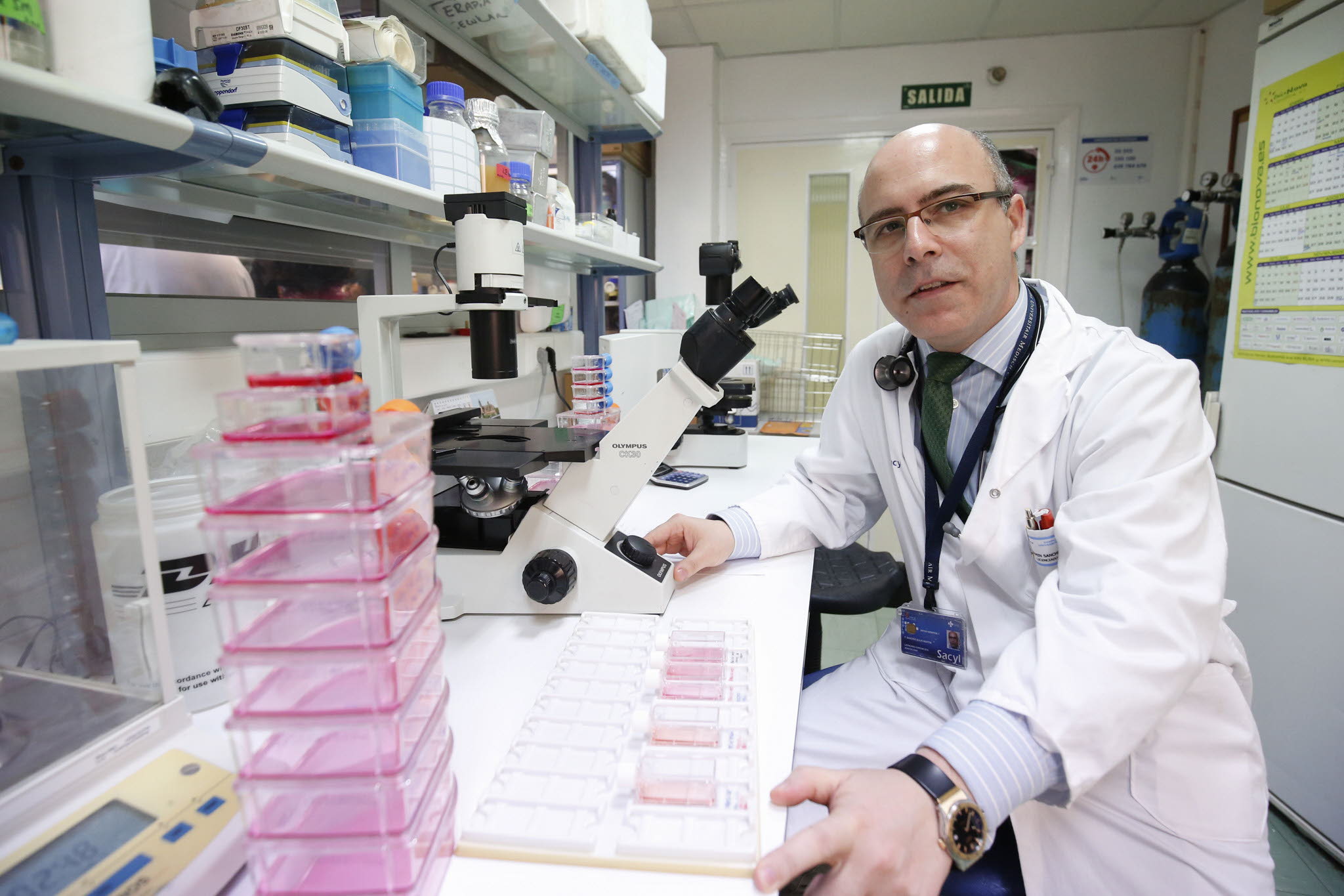 Fermín Sánchez-Guijo, nuevo vicepresidente de la Sociedad Internacional de Terapia Celular y Génica