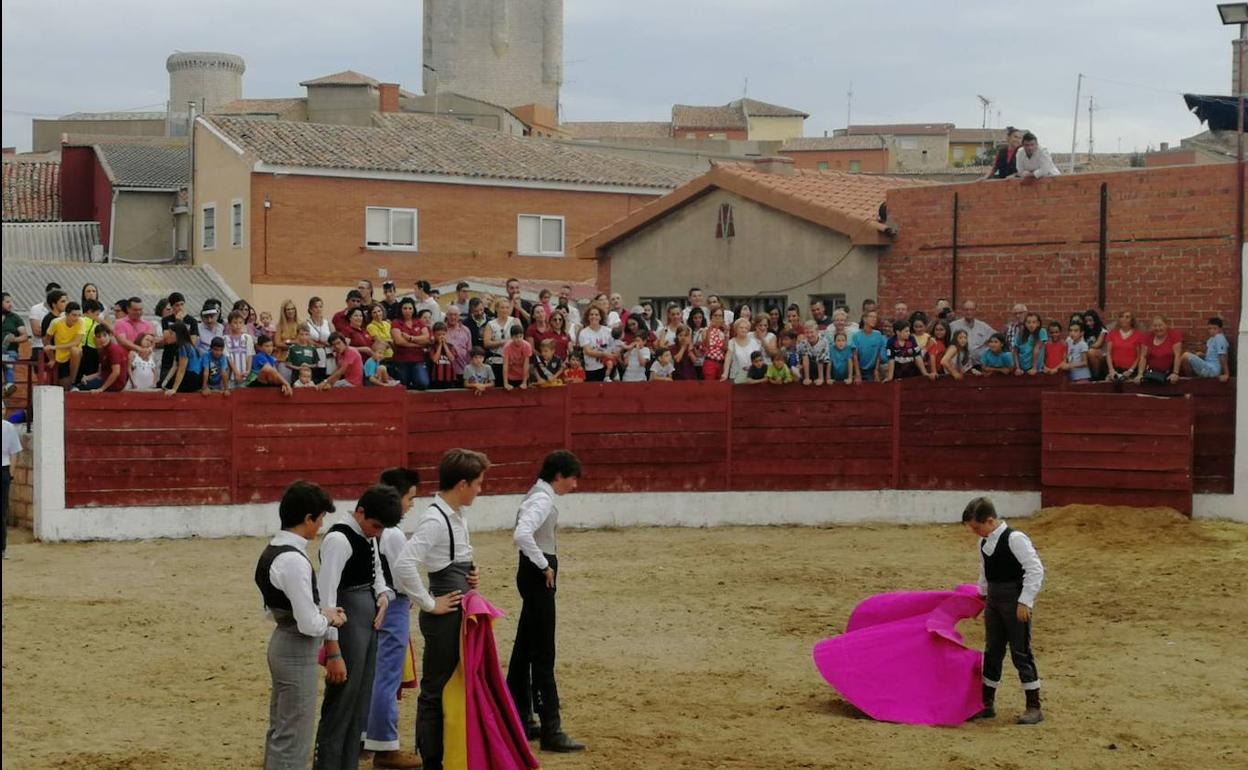 Integrantes de la Escuela Taurina de Medina de Rioseco, durante la exhibición en las fiestas de Torrelobatón en 2019.