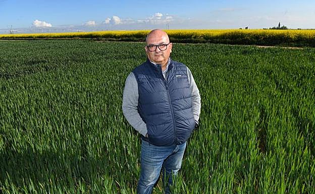Armando Caballerto Vadillo, en una parcela de cereal con su Alaejos natal al fondo.