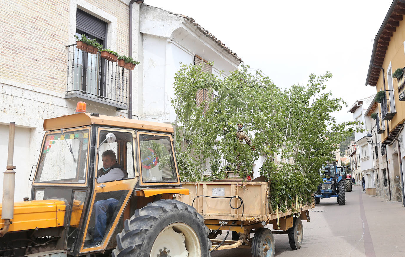 Fotos: Dueñas celebra San Isidro