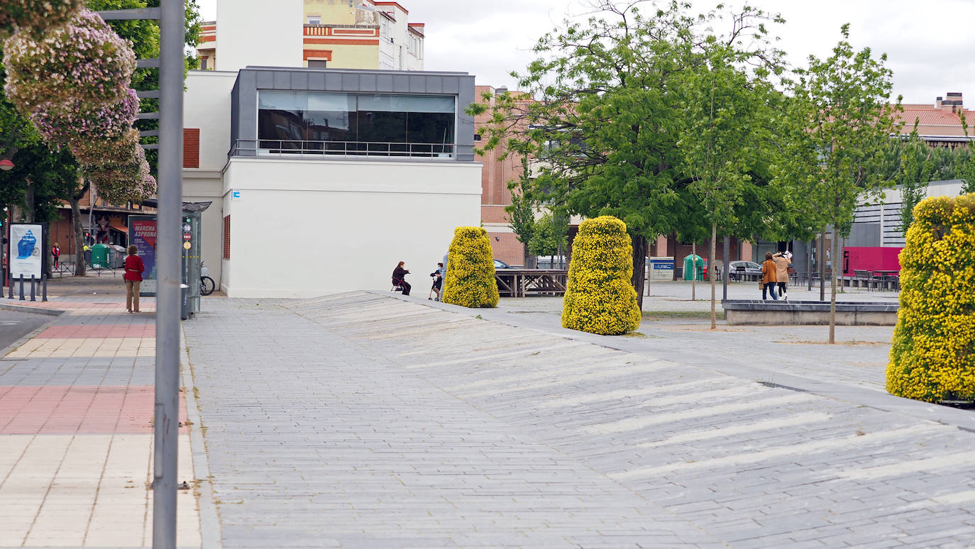 Fotos: Obras del carril bici del Paseo de Zorrilla hasta la Rubia