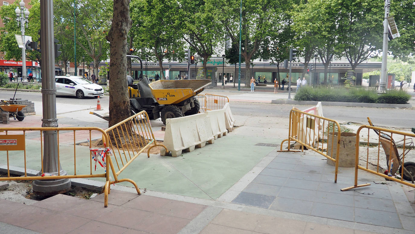 Fotos: Obras del carril bici del Paseo de Zorrilla hasta la Rubia