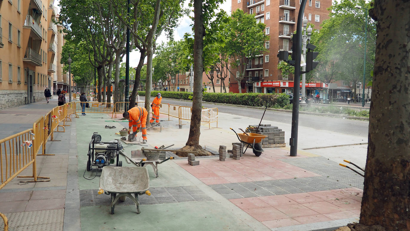 Fotos: Obras del carril bici del Paseo de Zorrilla hasta la Rubia