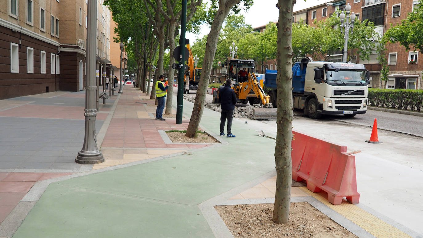 Fotos: Obras del carril bici del Paseo de Zorrilla hasta la Rubia