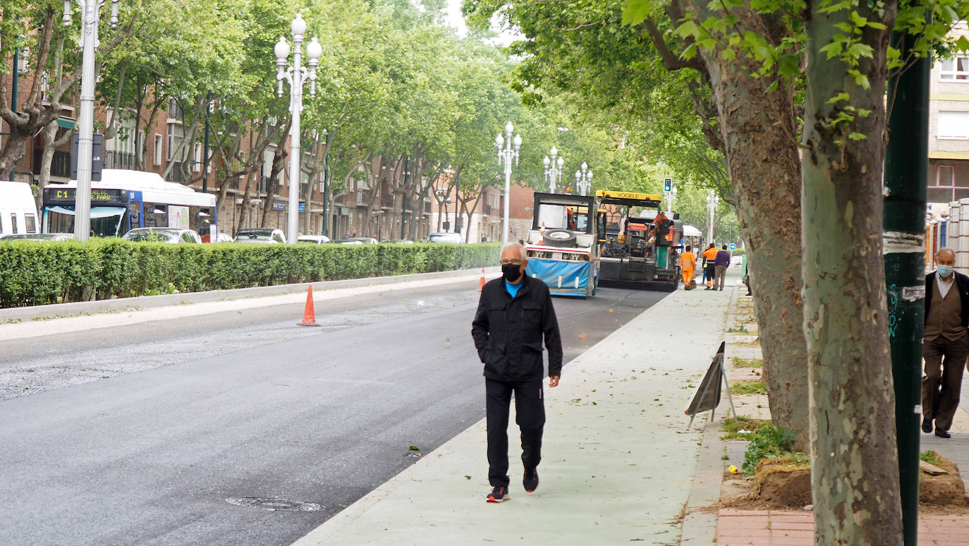 Fotos: Obras del carril bici del Paseo de Zorrilla hasta la Rubia