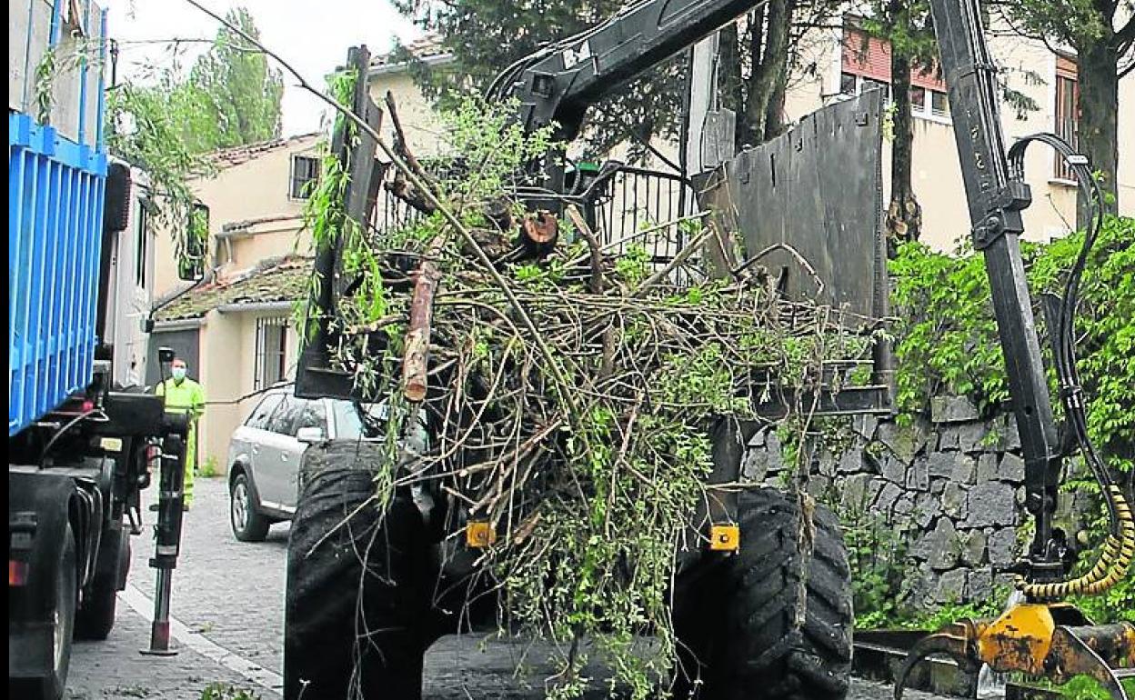 Trabajos de limpieza en las inmediaciones del Eresma. 