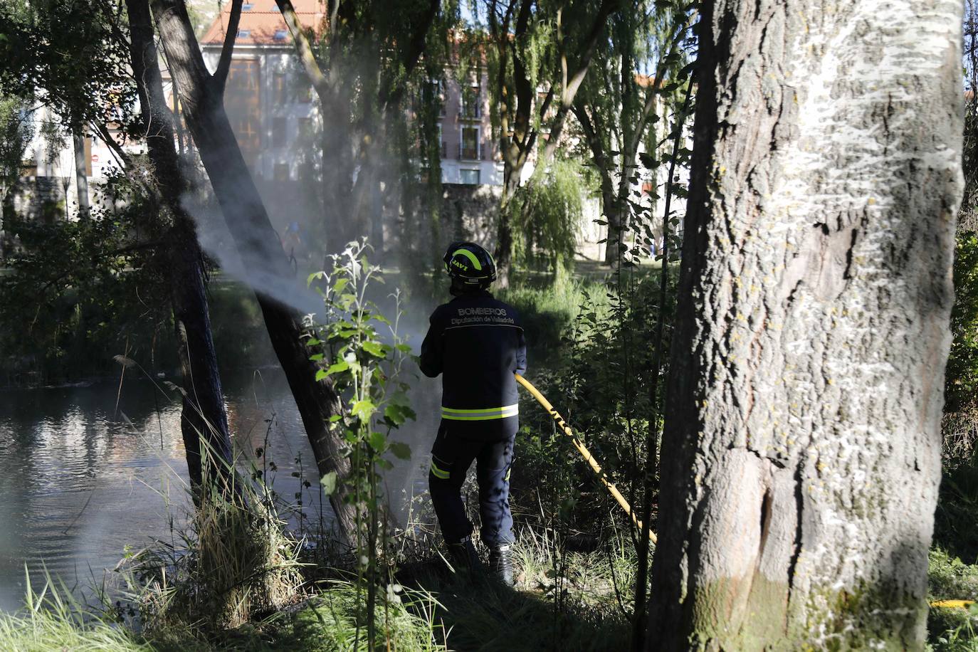 Fotos: Los Bomberos sofocan un incendio de pelusas en Peñafiel