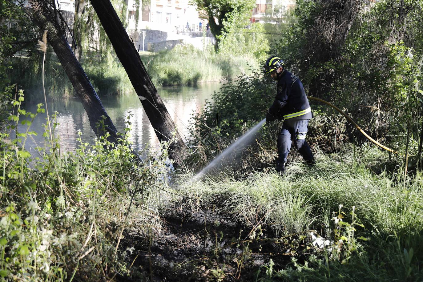 Fotos: Los Bomberos sofocan un incendio de pelusas en Peñafiel