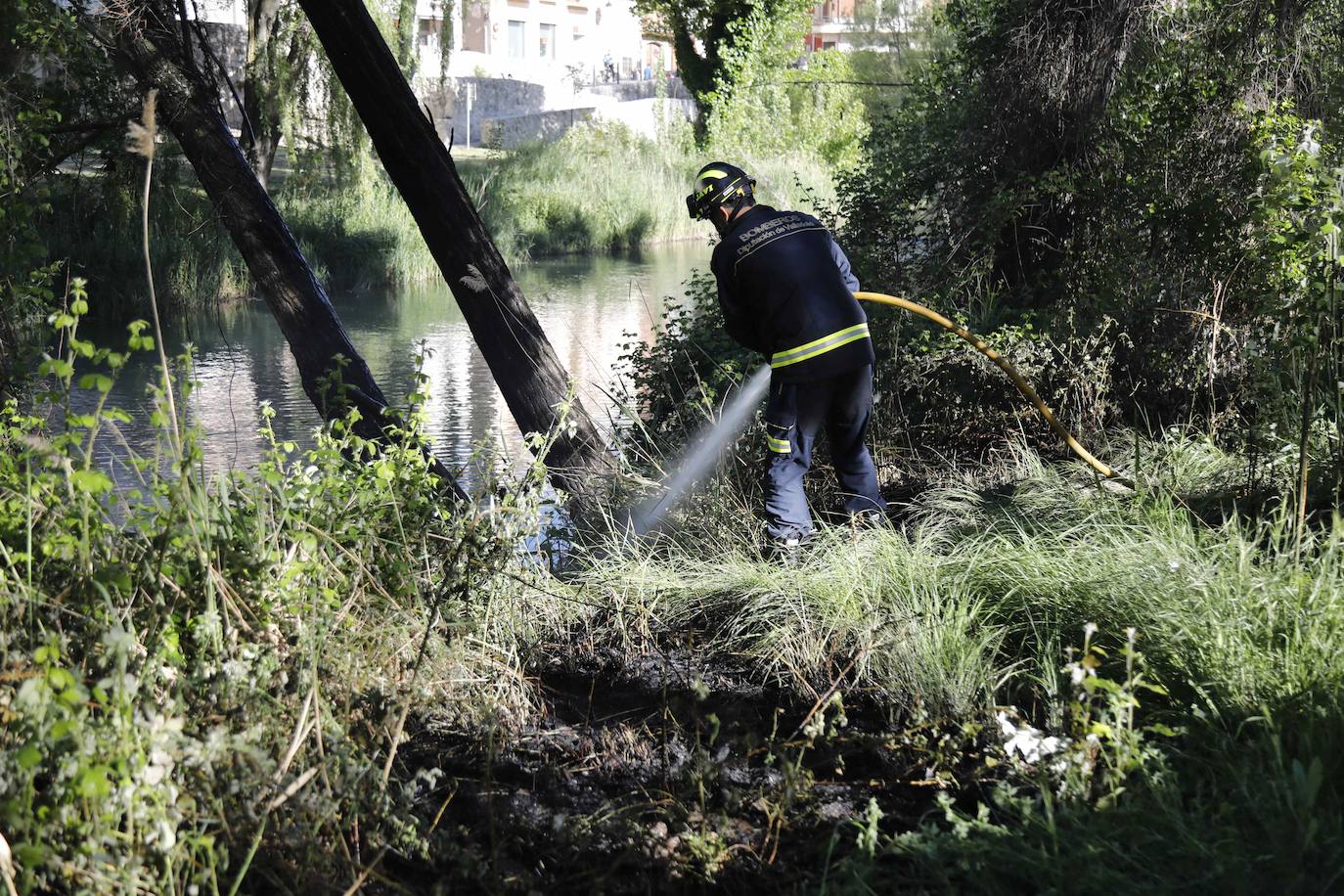 Fotos: Los Bomberos sofocan un incendio de pelusas en Peñafiel