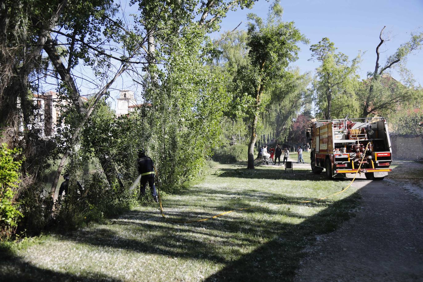 Fotos: Los Bomberos sofocan un incendio de pelusas en Peñafiel