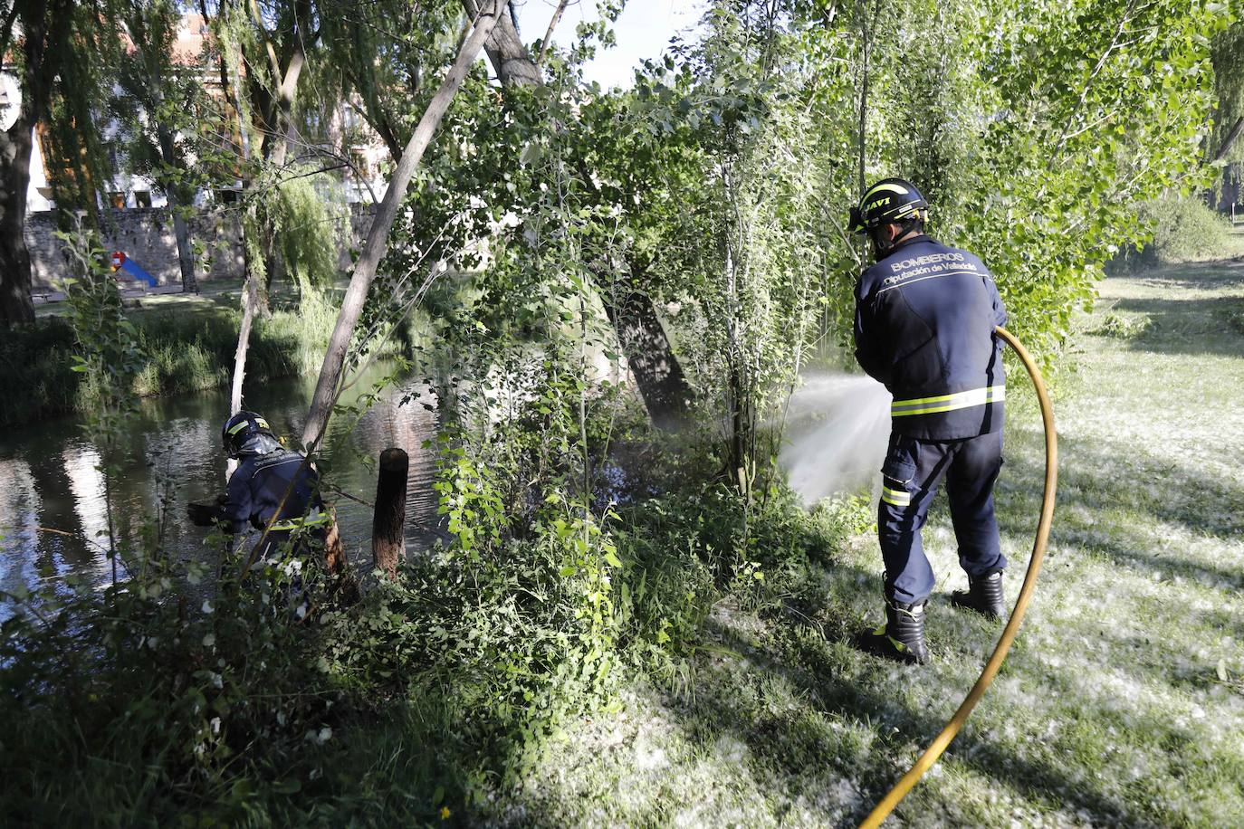 Fotos: Los Bomberos sofocan un incendio de pelusas en Peñafiel