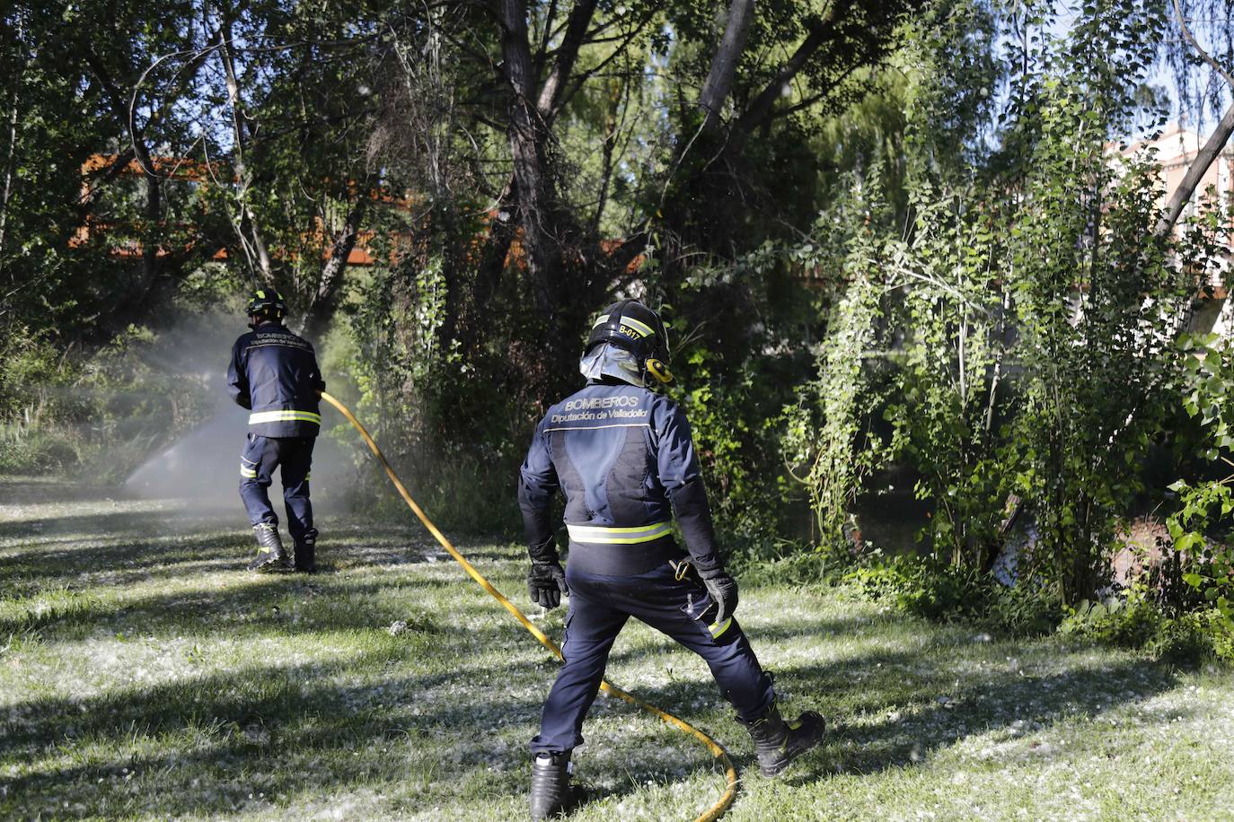 Fotos: Los Bomberos sofocan un incendio de pelusas en Peñafiel