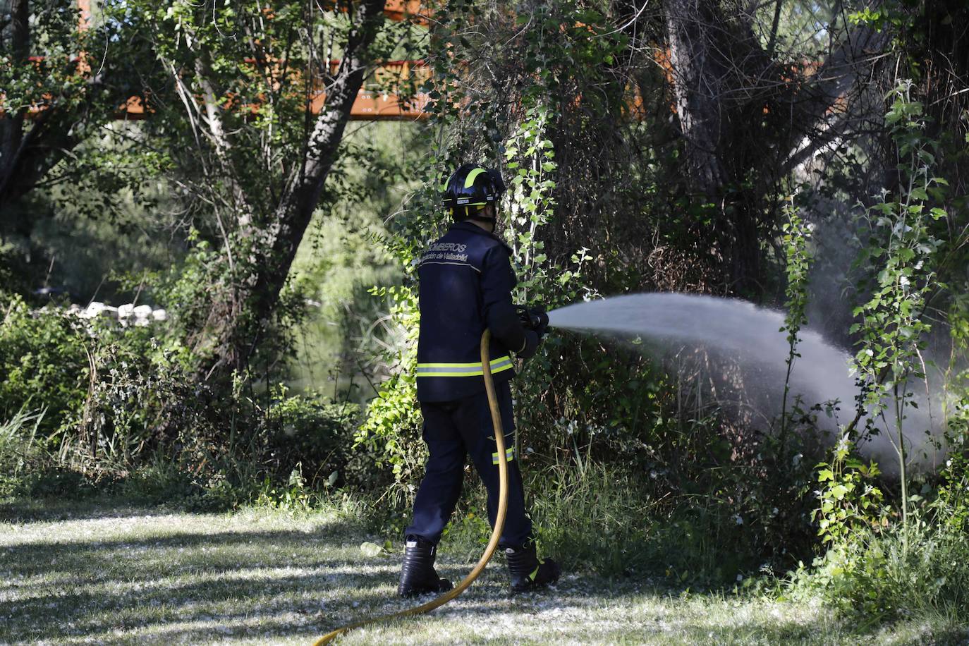 Fotos: Los Bomberos sofocan un incendio de pelusas en Peñafiel