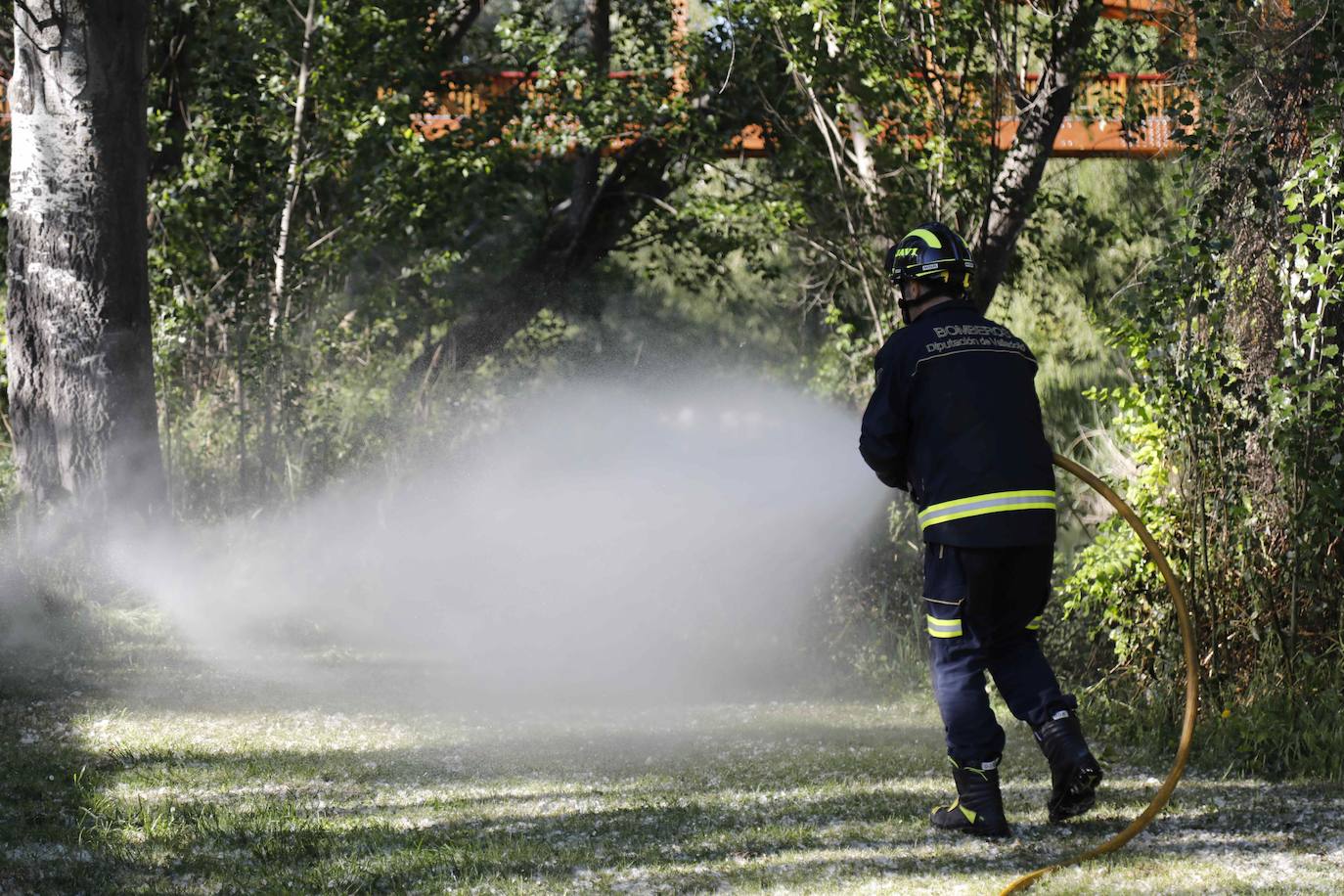 Fotos: Los Bomberos sofocan un incendio de pelusas en Peñafiel