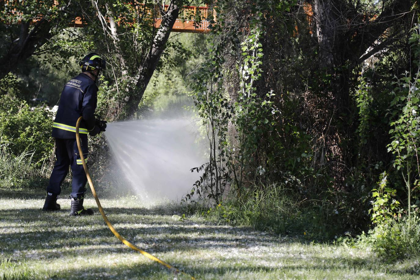 Fotos: Los Bomberos sofocan un incendio de pelusas en Peñafiel