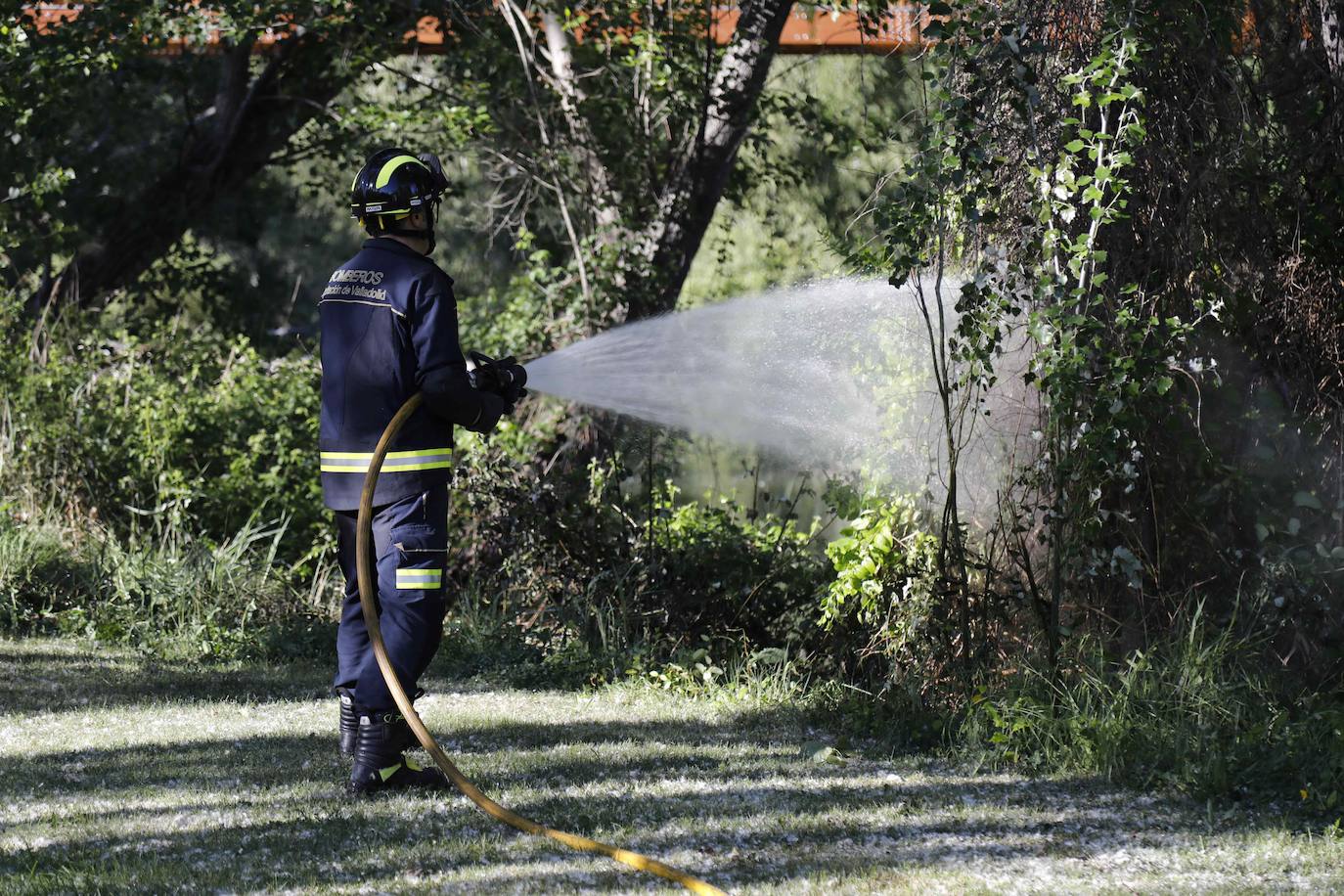 Fotos: Los Bomberos sofocan un incendio de pelusas en Peñafiel